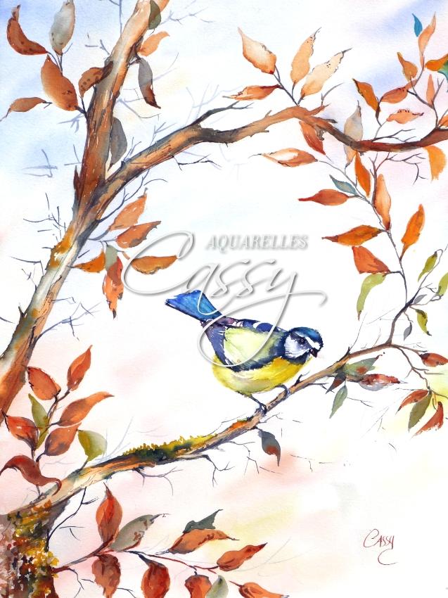 Mesange Charbonniere - 41 cm X 31 cm